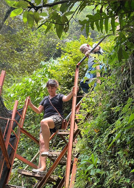 Car Rental in Malang with Driver